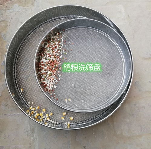 信鴿糧篩網(wǎng) 河北永勝絲網(wǎng)制品廠